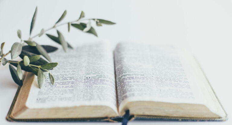 Domingo de Ramos: Qué se hace con la rama de olivo bendecida y cuál es su significado religioso