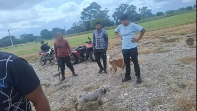 Condenan a 2 años de prisión a un hombre por matar de un disparo a una perra