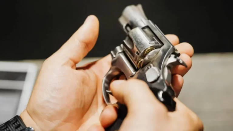 “Tenencia Express”: El Gobierno lanza un trámite digital para agilizar permisos de armas