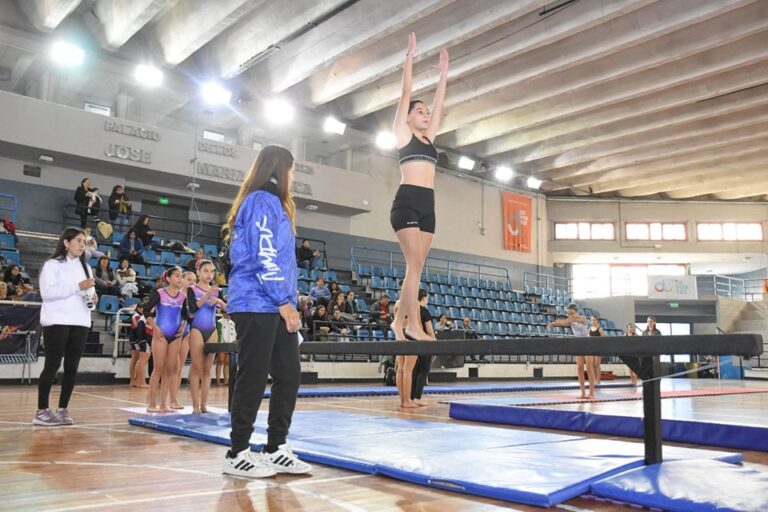 Villa Mercedes: CEGA brilló en el Torneo Provincial de Gimnasia Artística