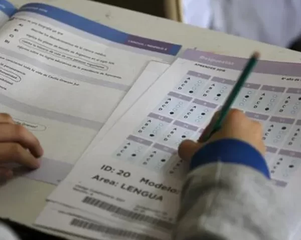 Más de la mitad de los estudiantes de tercer grado no alcanzó el nivel esperado en lectura