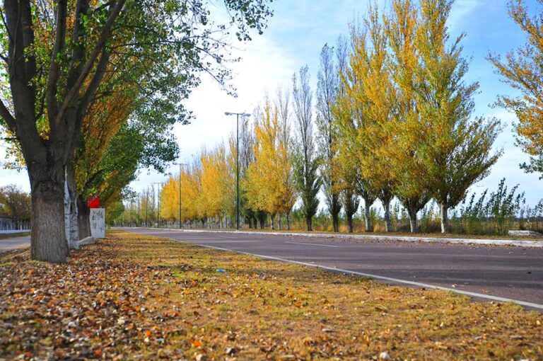Jornada fresca con sol pleno en toda la provincia
