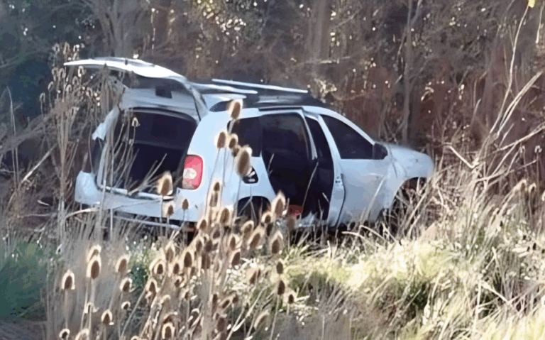 Estranguló a su esposa, mató a sus hijos de 4 y 8 años y se suicidó al lanzarse frente a un camión