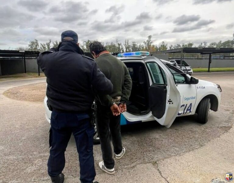 Detuvieron a un joven por robos en distintos barrios de Villa Mercedes