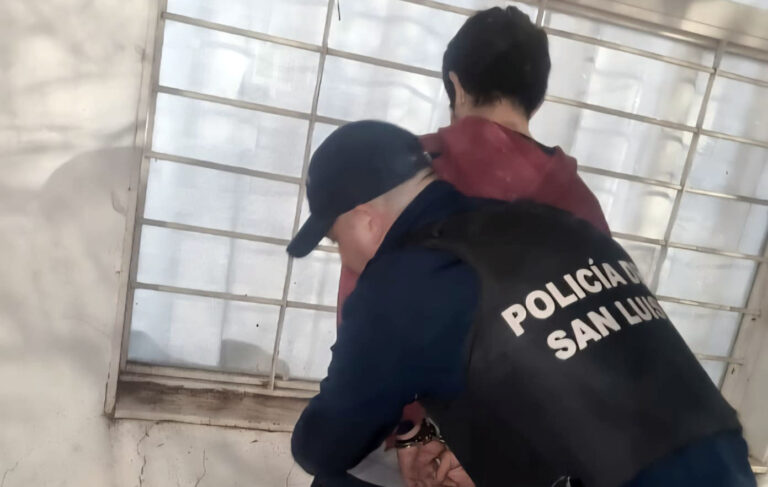 Persiguieron y detuvieron a un joven por robar una cartera de un auto en barrio La Ribera