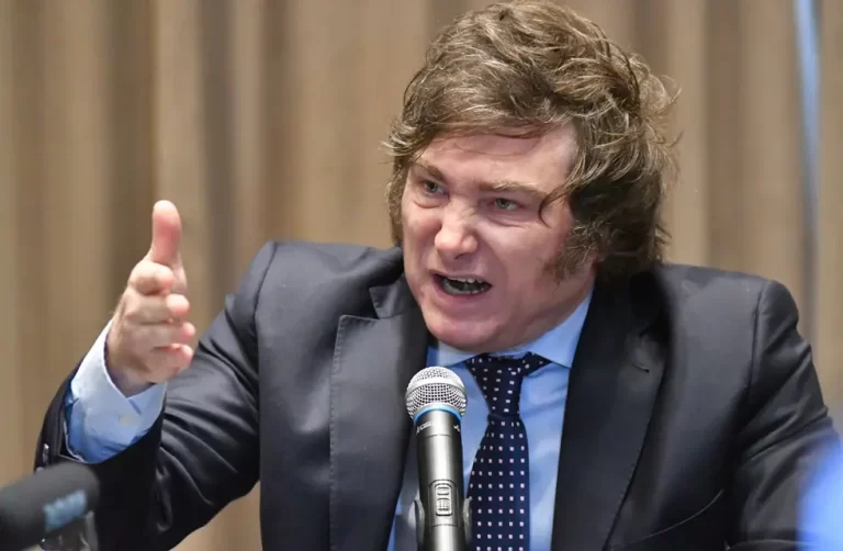 Milei aseguró que “nos van a salir dólares por las orejas”