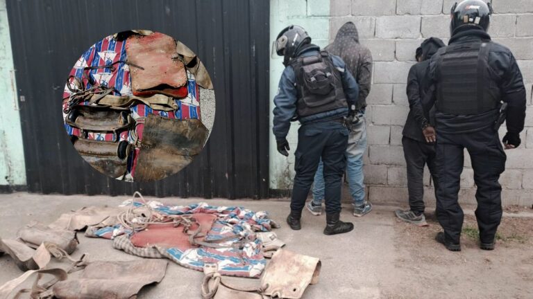 Atraparon a dos hombres con monturas robadas