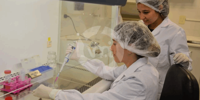 Científicas argentinas desarrollan tratamiento pionero con células madre