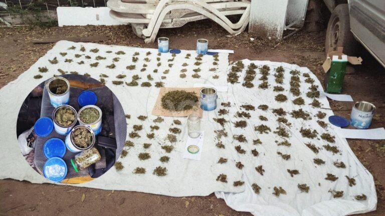 Carpintería: incautaron marihuana valuada en más de $5,5 millones