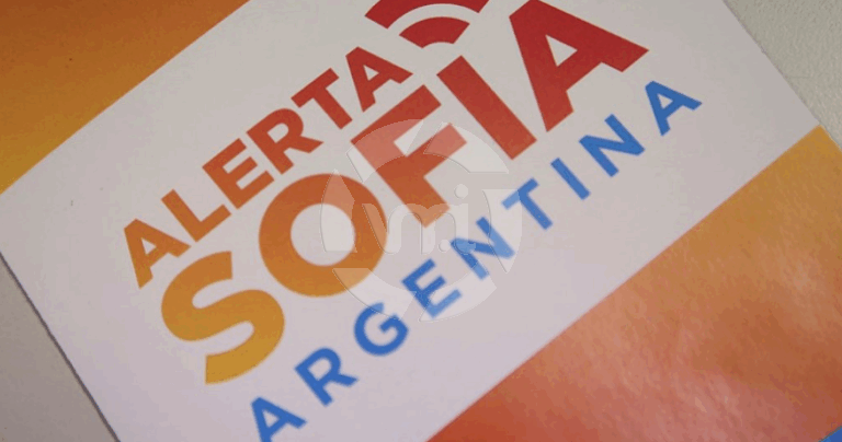 Media sanción en el Senado para la ley de Alerta Sofía