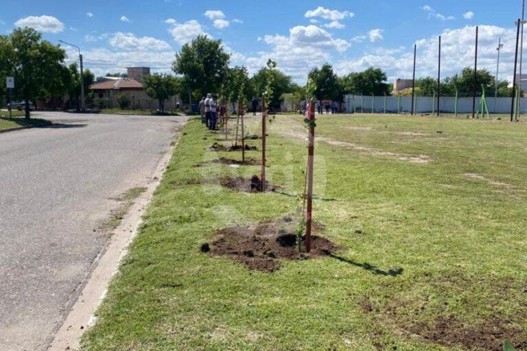 “Mi Club, Mi Árbol”: forestaron el Club Deportivo La Ribera