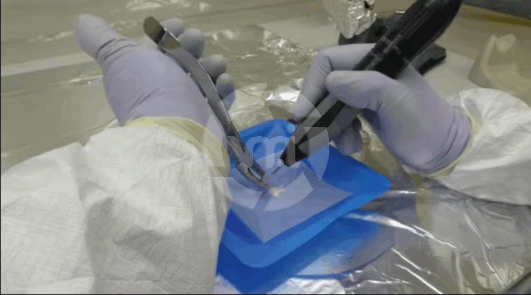 Un estudio científico logró identificar un gen propio de los argentinos