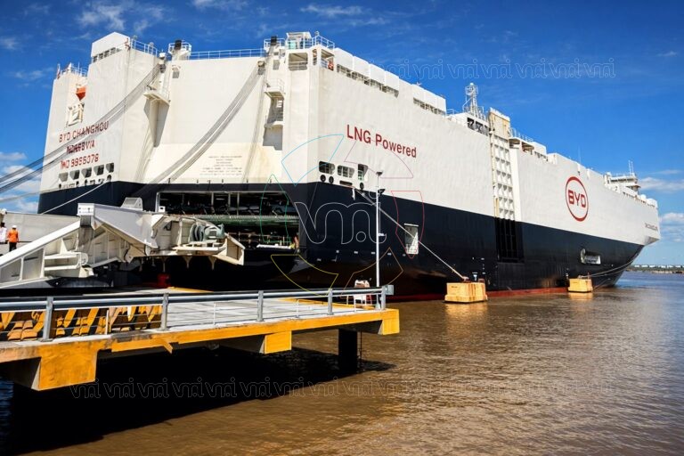 Arribó al país el barco chino que encendió el debate por la importación de autos eléctricos