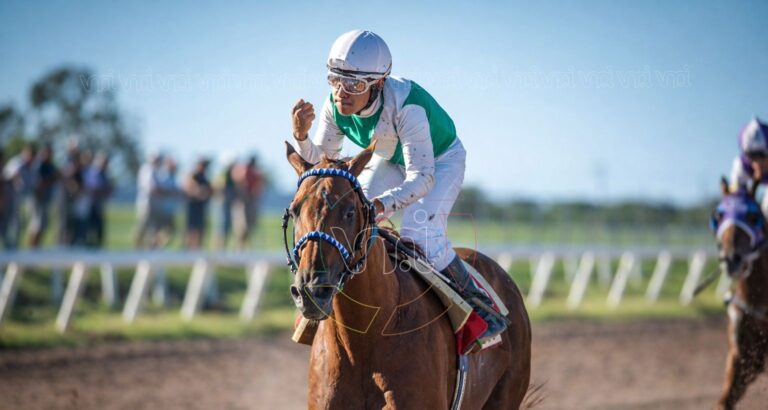 Turf y familia: gran jornada este domingo en el Hipódromo La Punta