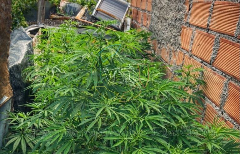 Allanamiento en el barrio Eva Perón 2: un detenido por venta de droga