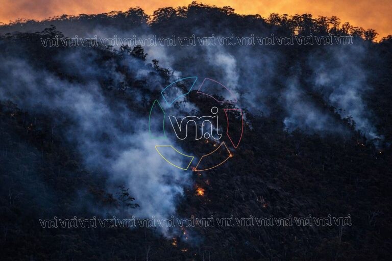 Patagonia en emergencia: Villa Mercedes recibe donaciones para combatir los incendios