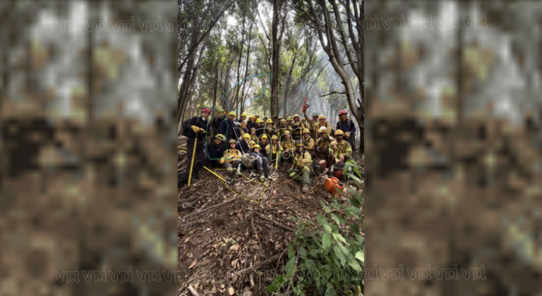 Incendio en el Parque Nacional Los Alerces: confirman que el fuego está contenido tras arrasar más de 16 mil hectáreas