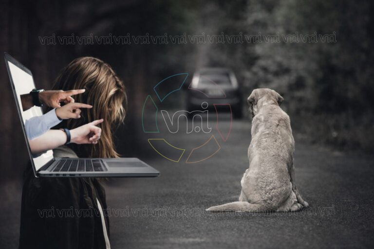 San Luis: el nuevo Código Contravencional sanciona la violencia digital y el maltrato animal con multas millonarias