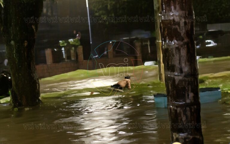 Dolor en Tucumán: un nene de 12 años murió electrocutado mientras jugaba en una calle inundada