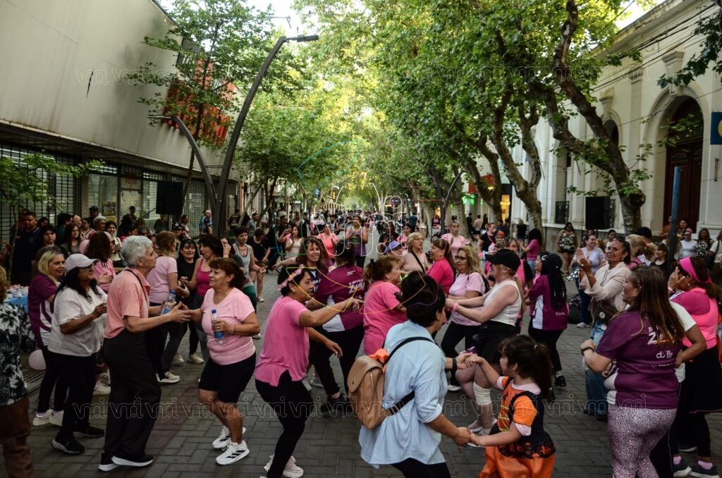 Caminata Rosa