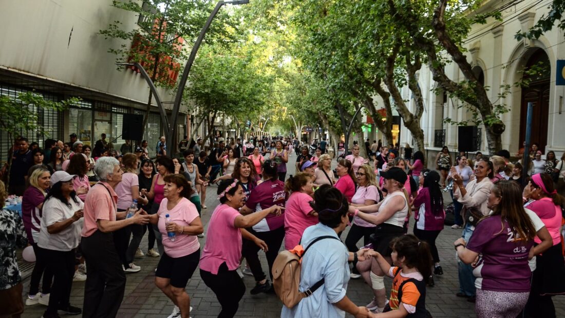 Caminata Rosa
