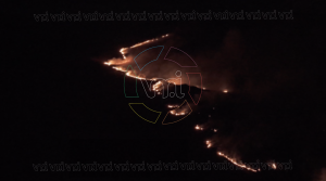 Incendio Filo Merlo