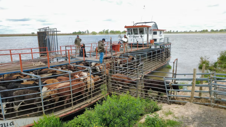 Inundaciones Litoral